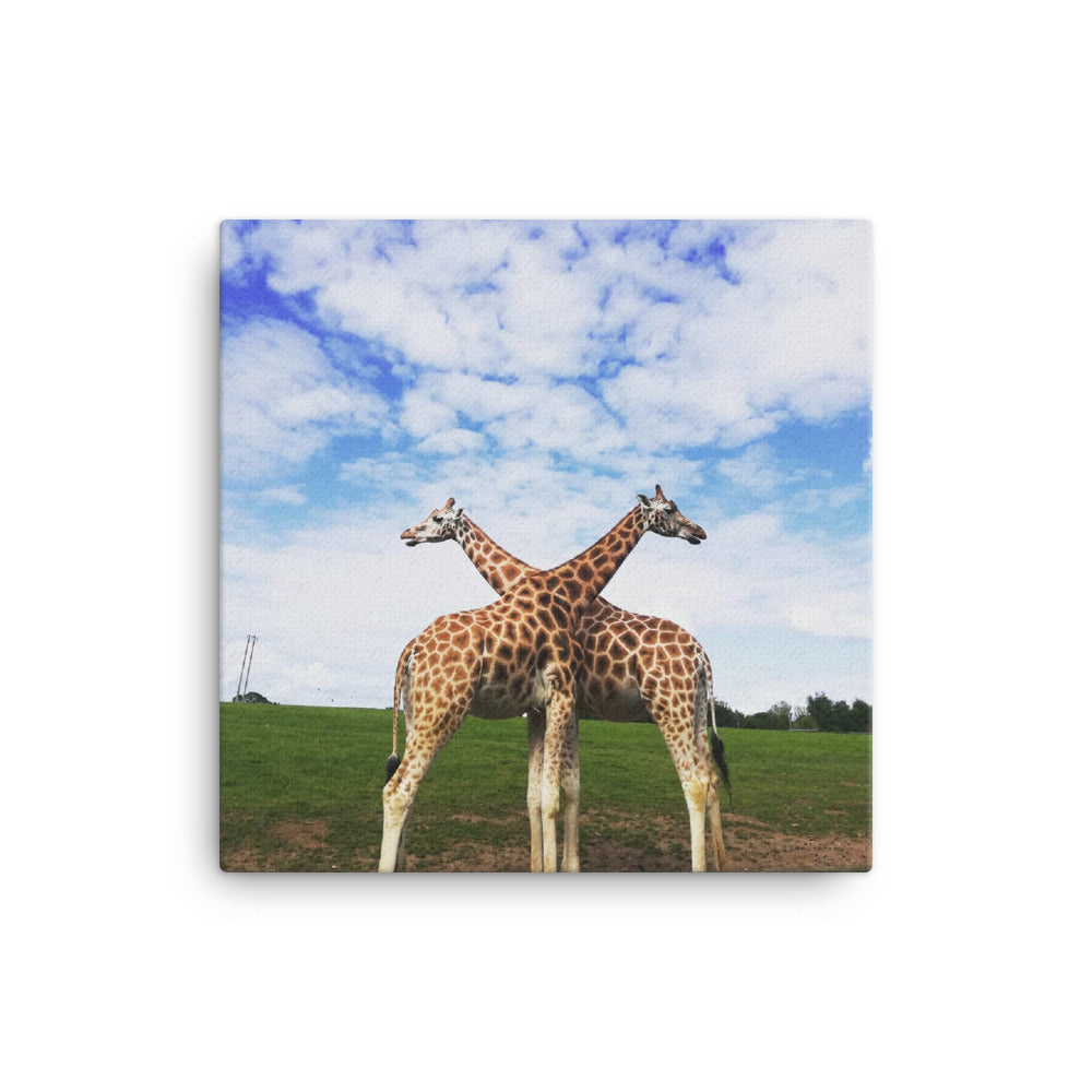 You're Having a Giraffe - Canvas Print
